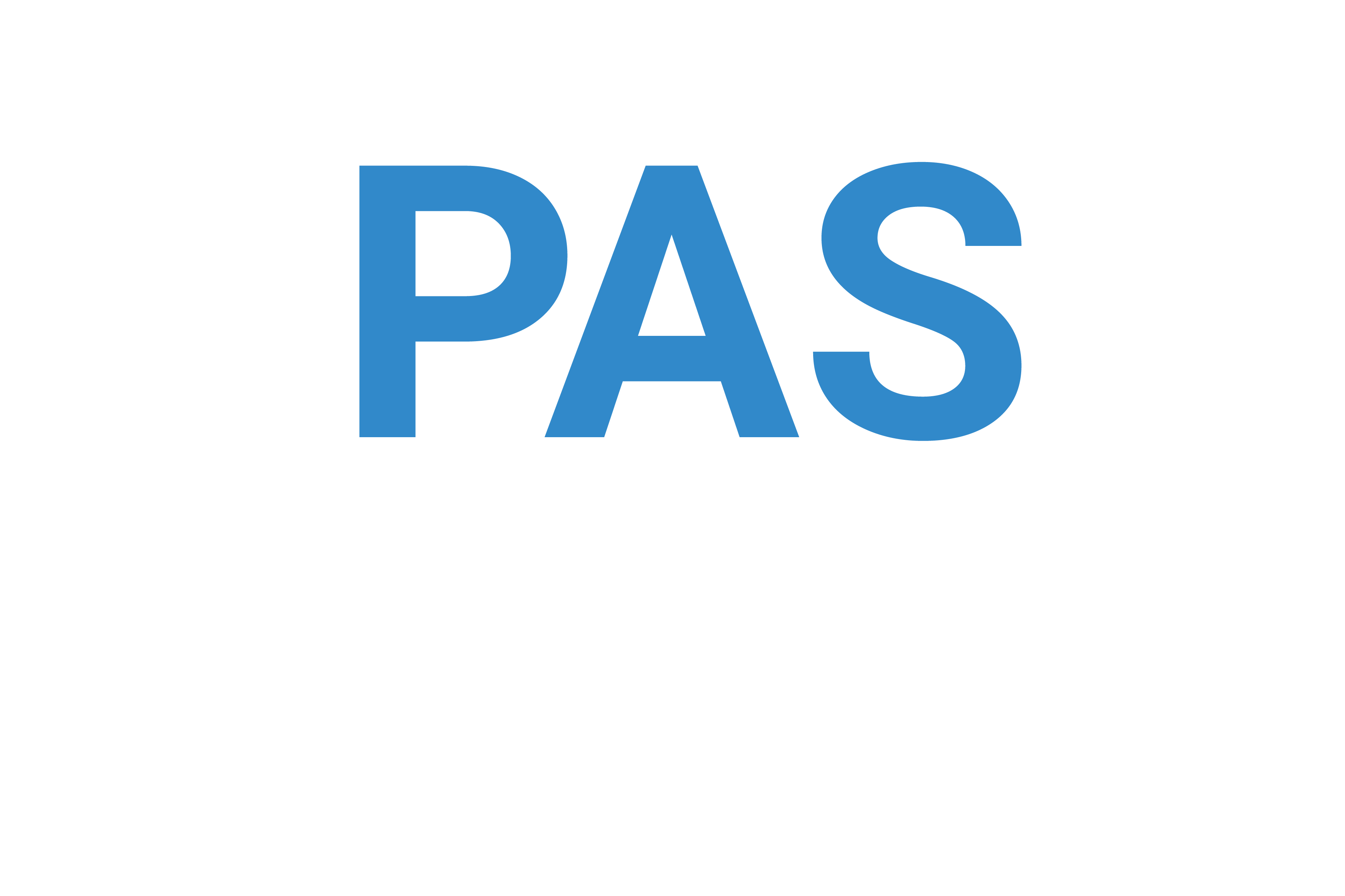 DIPAS Digitales Partizipationssystem