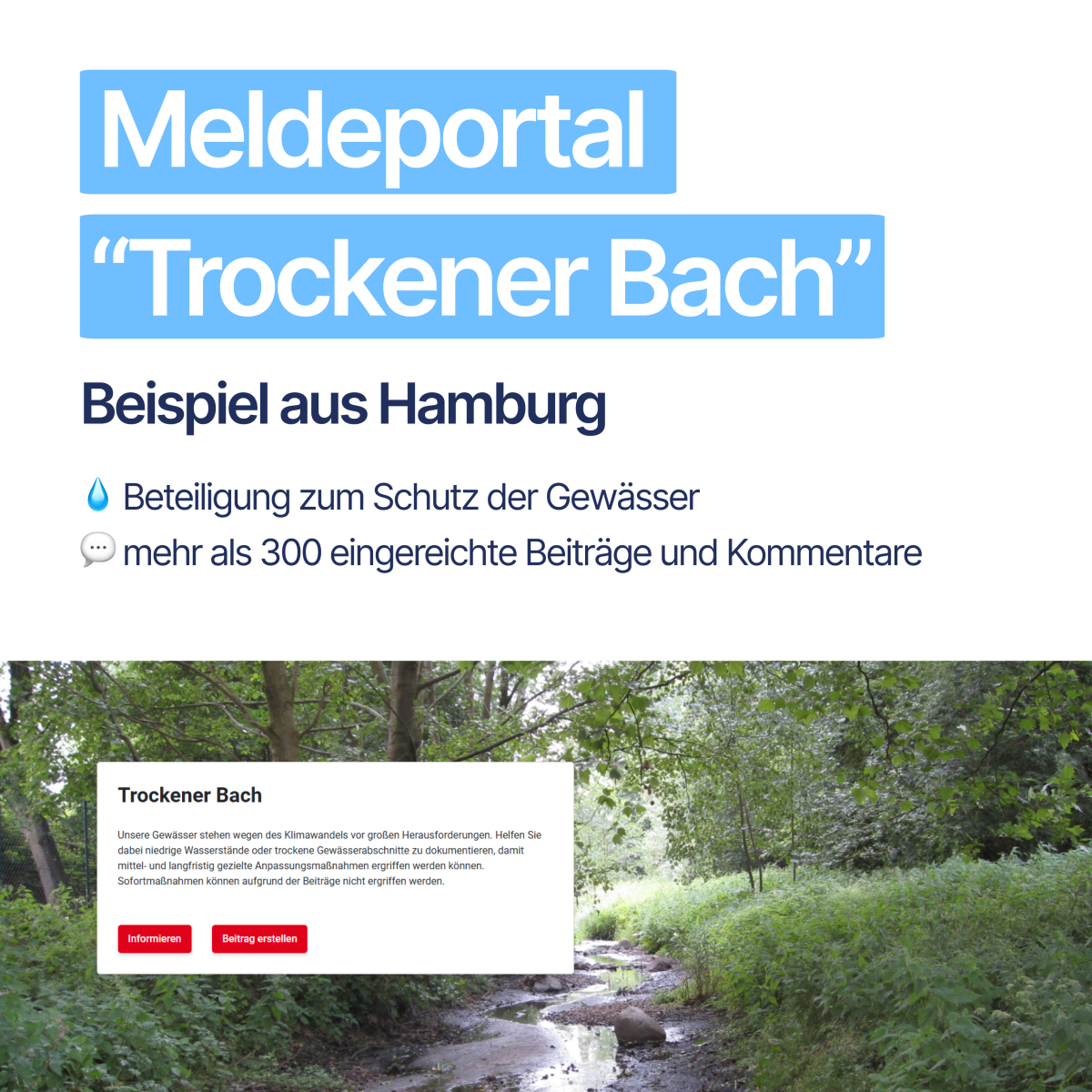 Meldeportal "Trockener Bach"