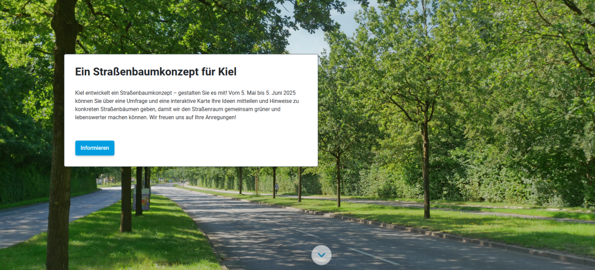 DIPAS Ein Straßenbaumkonzept für Kiel