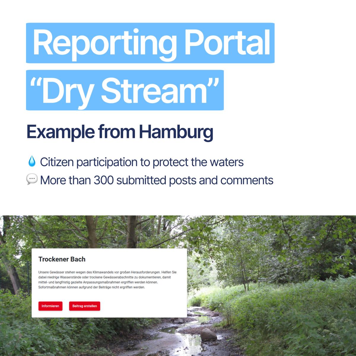 Reporting Portal "Dry Stream"